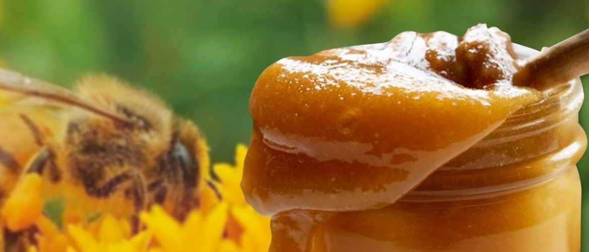Enfermedad infecciosa Melodramático obvio La miel pura se cristaliza - Productos del Bosque Seco - tienda de la miel
